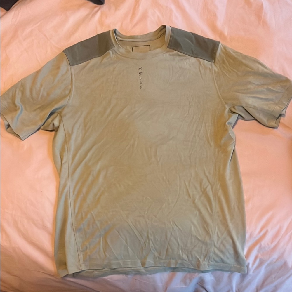 Men's Sage Green Merino Wool T-Shirt